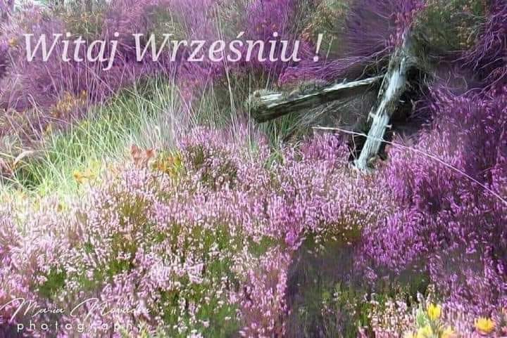 https://foteczkowo.pl/ib/80Ncr3l4TV.jpg