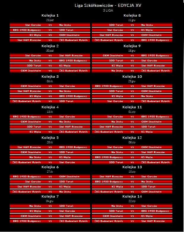 LS 24 3 LIGA TERM.png